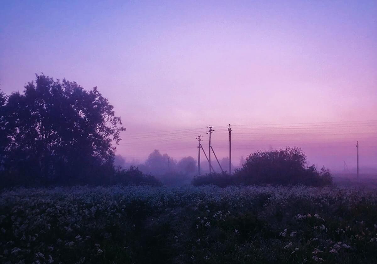 开云体育-九游娱乐——开启你的极致游戏世界